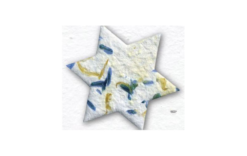 Star Seeded Decoration/Ornament